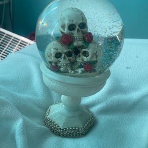 New skull snow globe